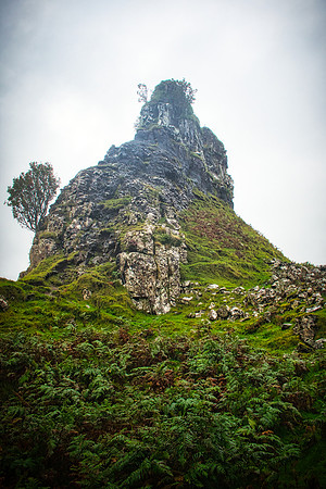 Fairy Glen 03