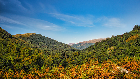 Hagrid's Hut View 03