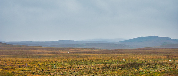 Lewis Machair 03