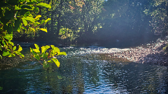 River Coe