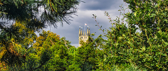 Warwick 01