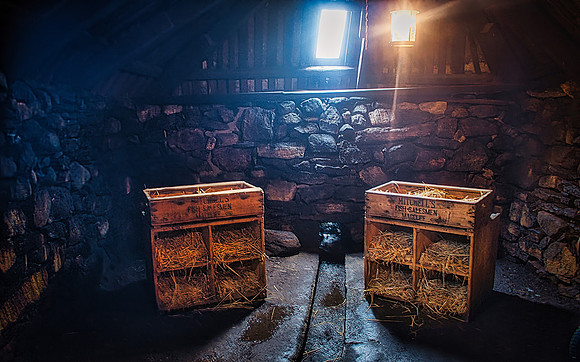 Arnol Blackhouse 03