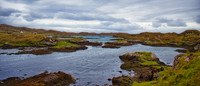 Harris Golden Road 02