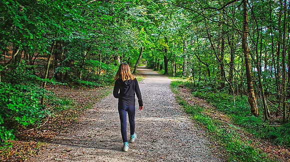 Rold Skov Walk