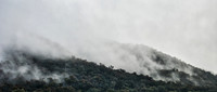 King Valley Fog 01