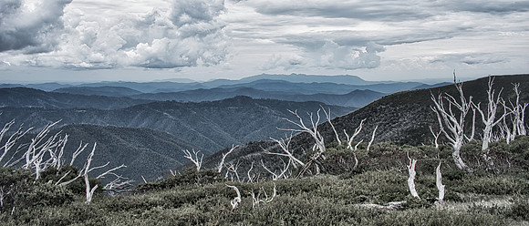 Mt Hotham Mono 01