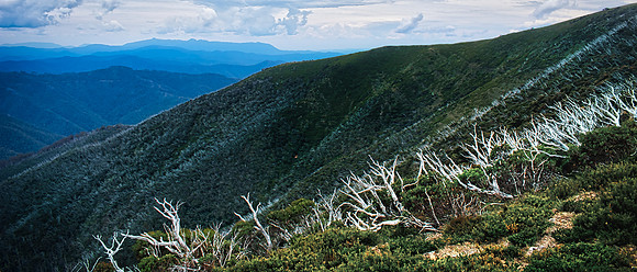 Mt Hotham Mood 01