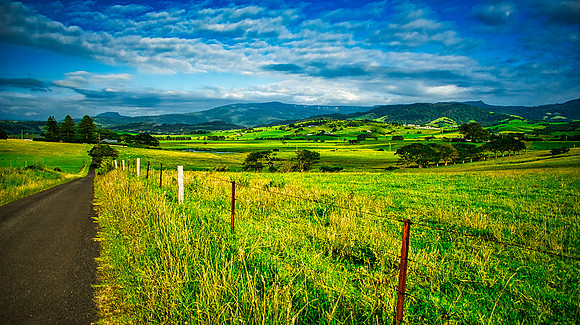 Wingeewah Road View