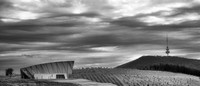 Arboretum Wide and Long