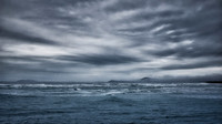 Nambucca Broods