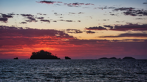 Snapper Sunrise 01