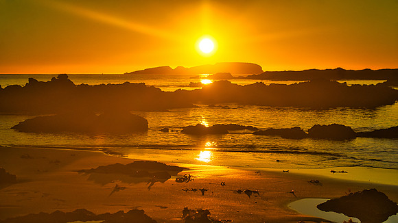 Surf Beach Gold