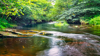 Water of Leith 05