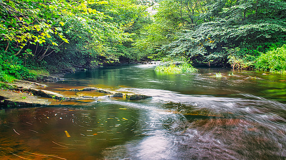 Water of Leith 05