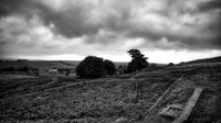 From the Wall Monochrome 01