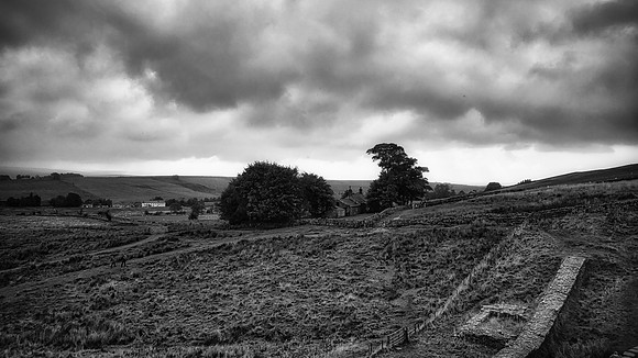 From the Wall Monochrome 01