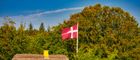 Denmark 2024