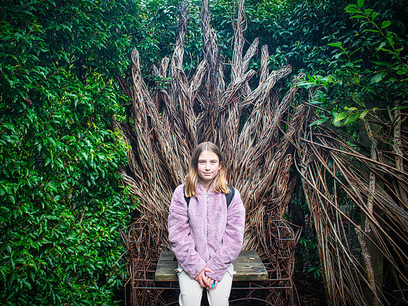 Not the Iron Throne