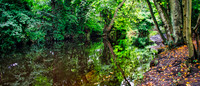 Water of Leith 01