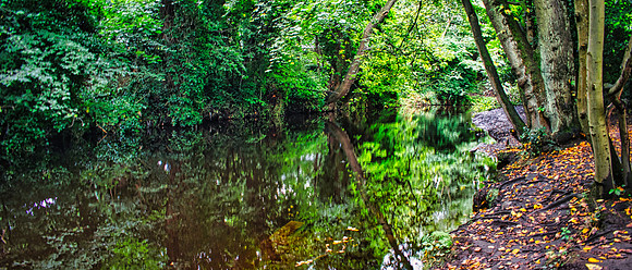 Water of Leith 01