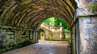 Water of Leith Walk 04