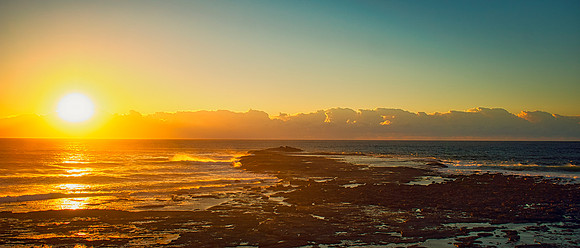Black Head Dawn