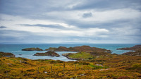 Harris Golden Road 03