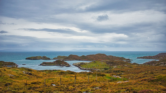Harris Golden Road 03