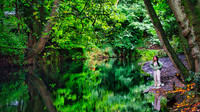 Water of Leith 02