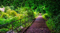 Water of Leith Walk 01