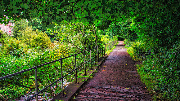Water of Leith Walk 01