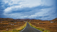 Harris Golden Road 01