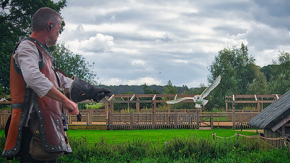Warwick Castle Falconry 01