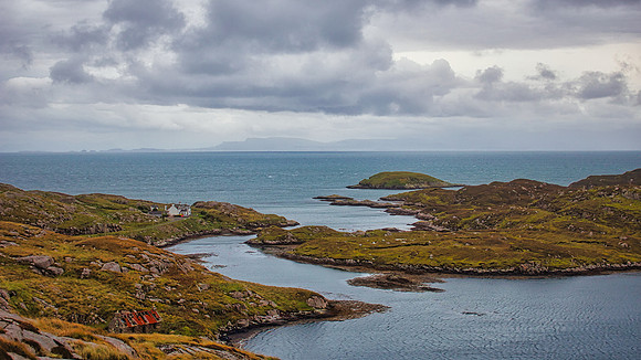 Harris Golden Road Manish 01