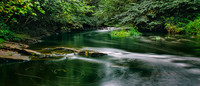 Water of Leith 06