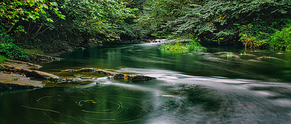 Water of Leith 06