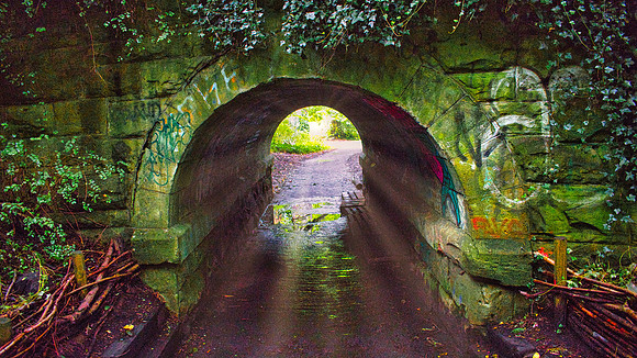 Water of Leith Walk 02