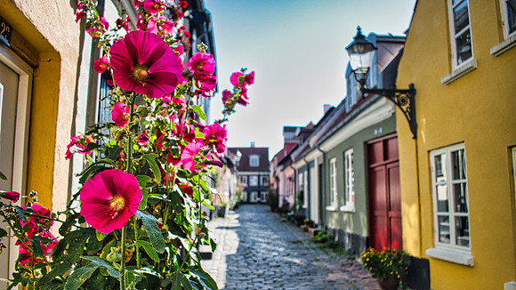 Aalborg 06